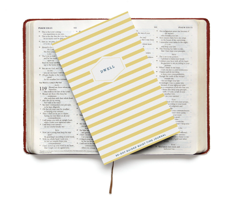 Dwell Journal - Marigold Stripe