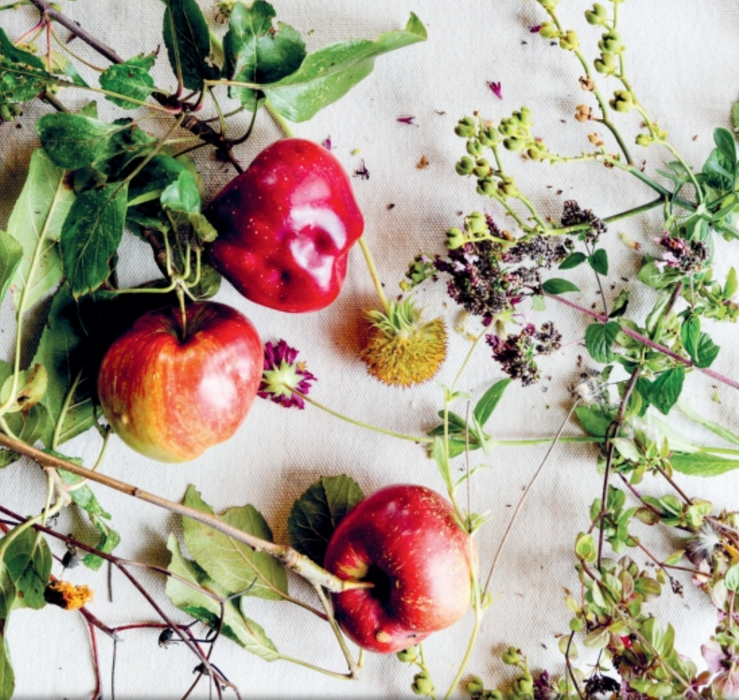 "Modern Country Cooking" Book