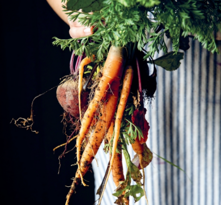 "Modern Country Cooking" Book